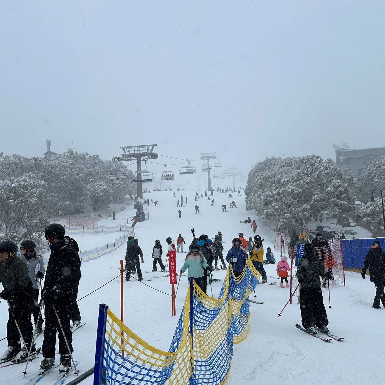 moodle4free | How Much Does It Really Cost to Visit Mt Buller for a Day? moodle4free | How Much Does It Really Cost to Visit Mt Buller for a Day?